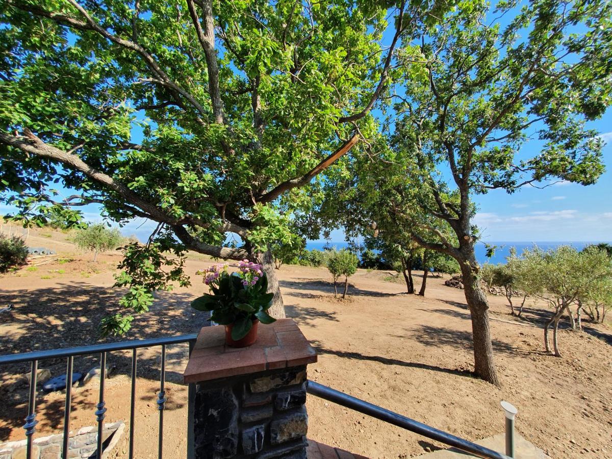 Agriturismo Le Terre Di Venere Acciaroli Kültér fotó