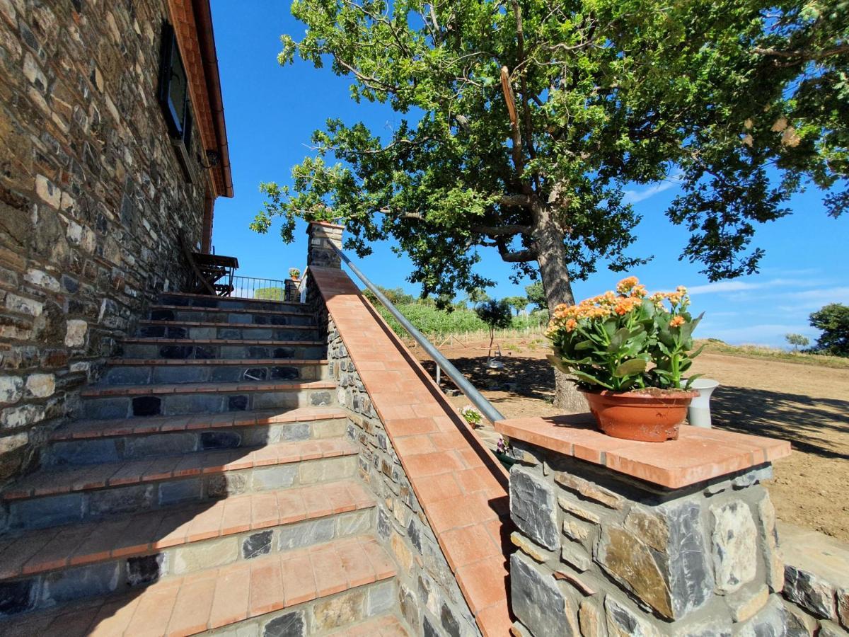 Agriturismo Le Terre Di Venere Acciaroli Kültér fotó