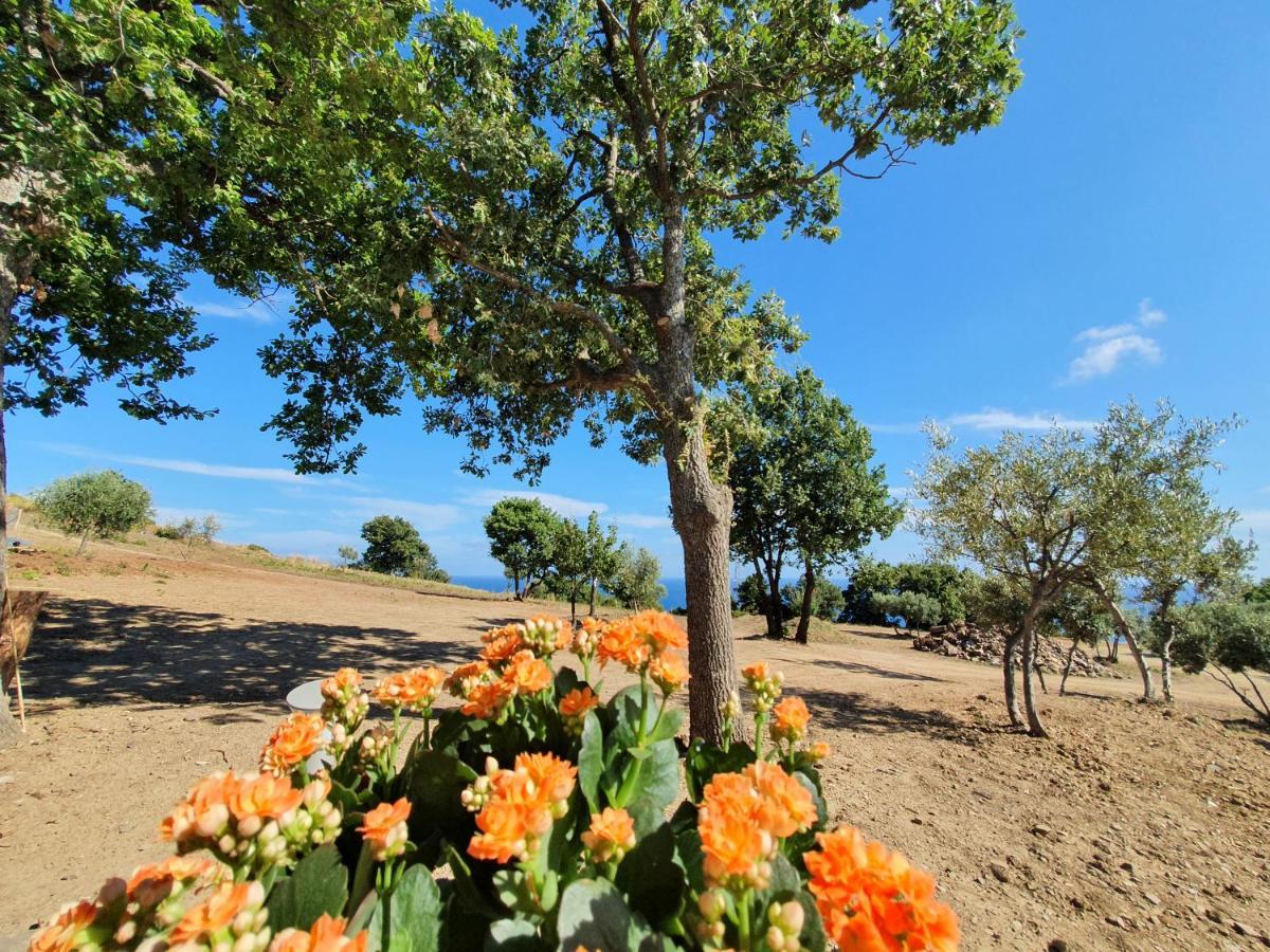 Agriturismo Le Terre Di Venere Acciaroli Kültér fotó