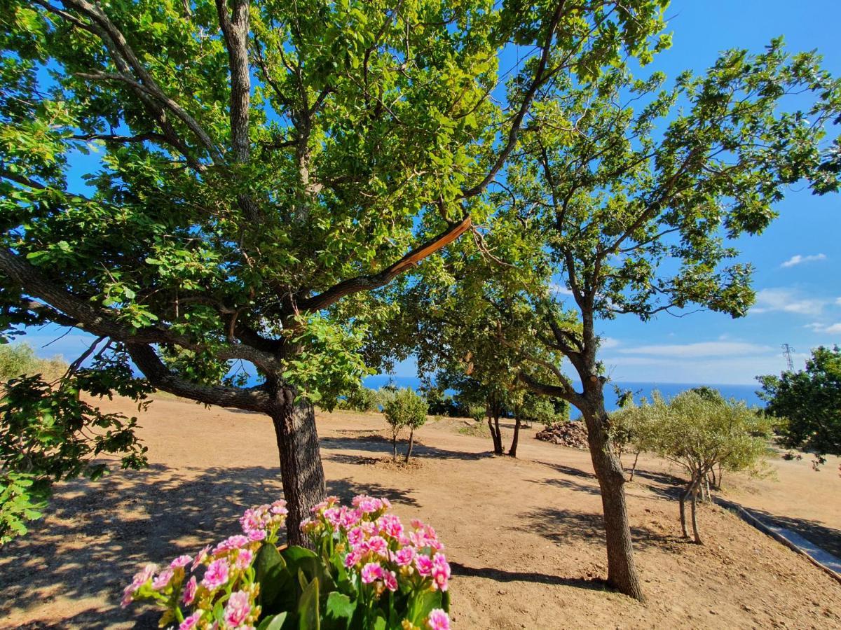 Agriturismo Le Terre Di Venere Acciaroli Kültér fotó