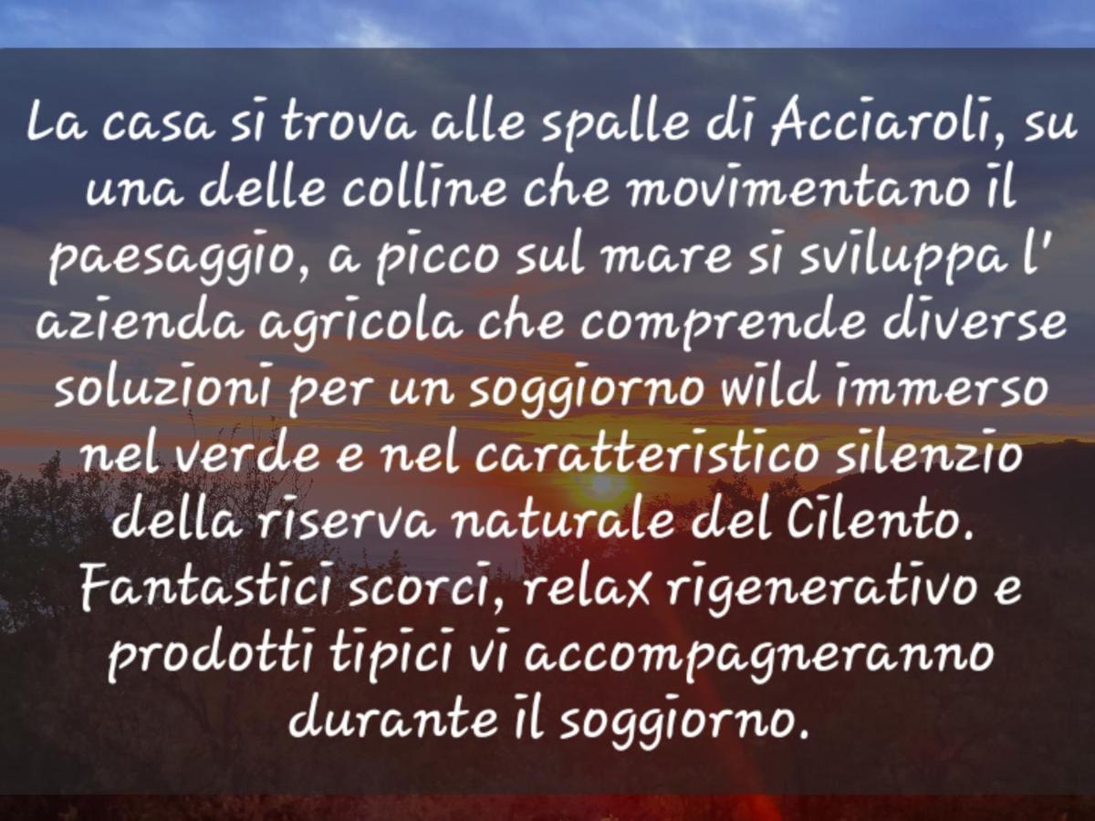 Agriturismo Le Terre Di Venere Acciaroli Kültér fotó