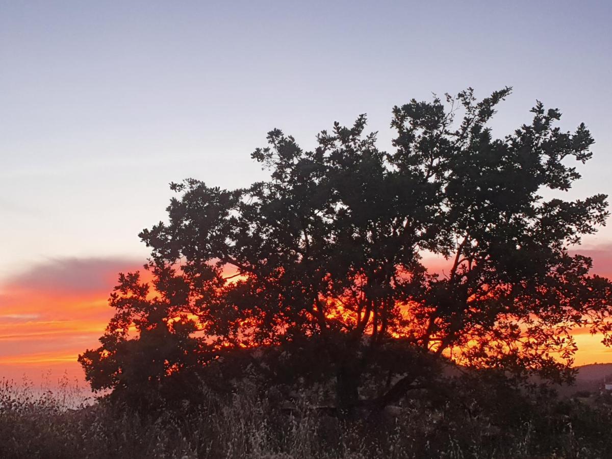Agriturismo Le Terre Di Venere Acciaroli Kültér fotó