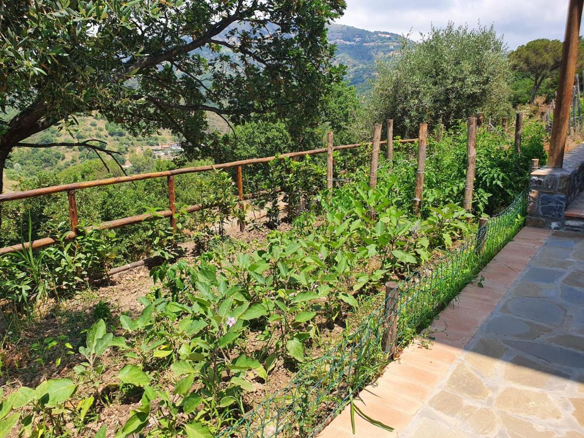 Agriturismo Le Terre Di Venere Acciaroli Kültér fotó