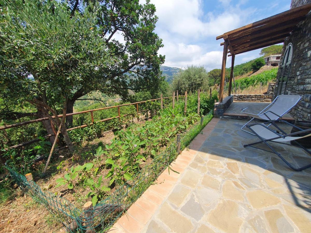 Agriturismo Le Terre Di Venere Acciaroli Kültér fotó