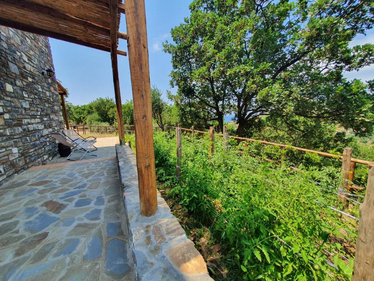 Agriturismo Le Terre Di Venere Acciaroli Kültér fotó