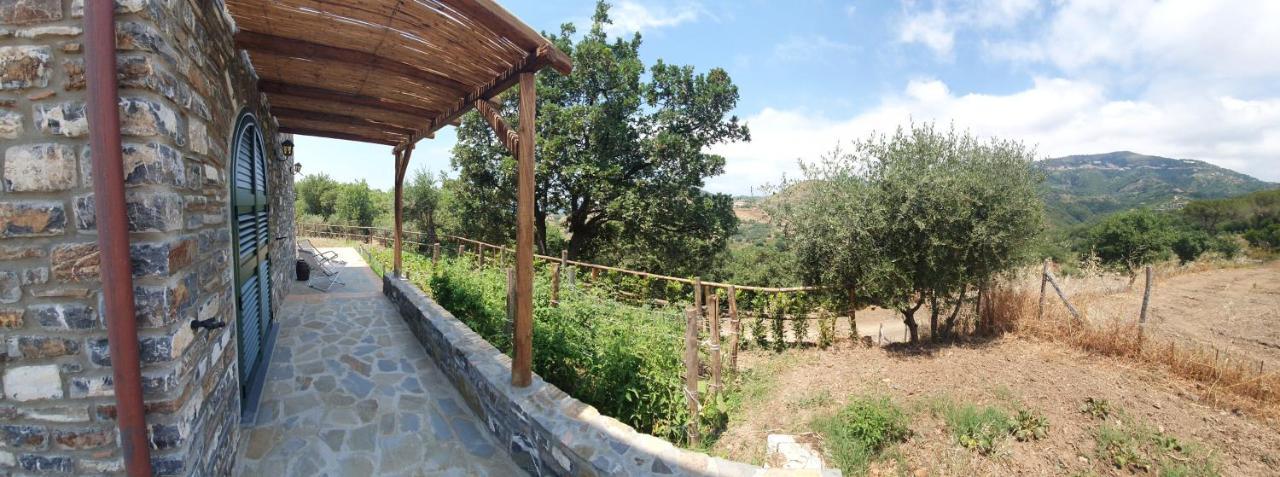 Agriturismo Le Terre Di Venere Acciaroli Kültér fotó