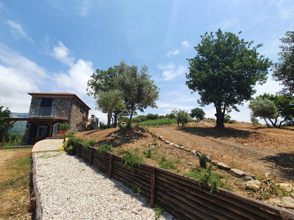 Agriturismo Le Terre Di Venere Acciaroli Kültér fotó