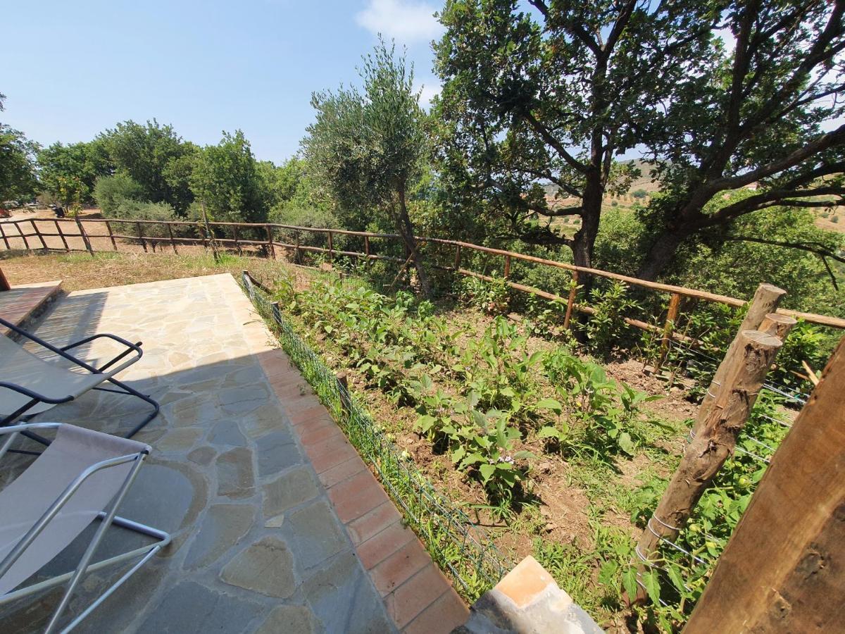 Agriturismo Le Terre Di Venere Acciaroli Kültér fotó