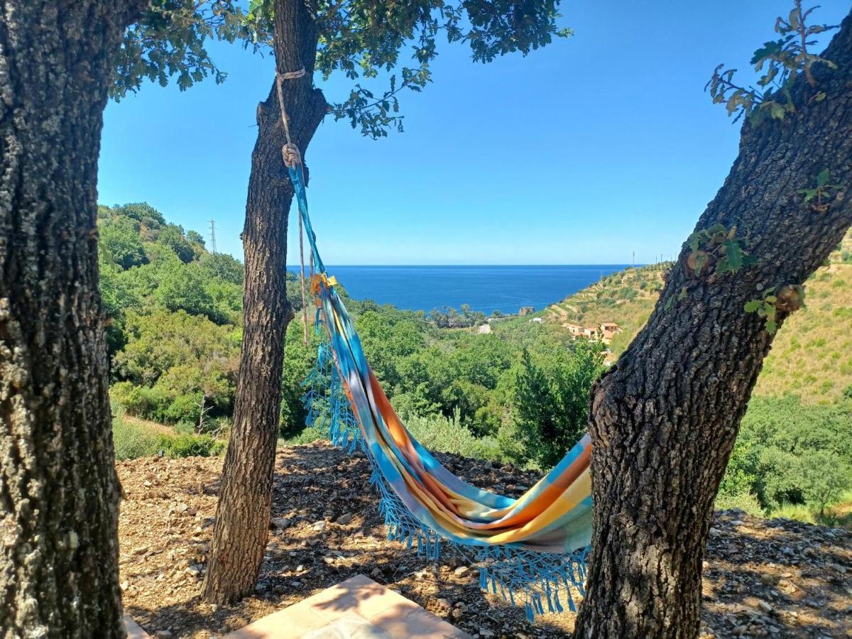 Agriturismo Le Terre Di Venere Acciaroli Kültér fotó