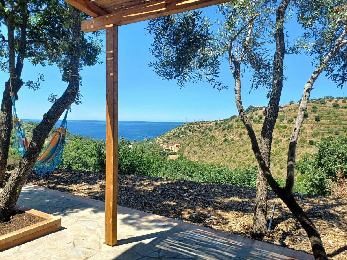 Agriturismo Le Terre Di Venere Acciaroli Kültér fotó