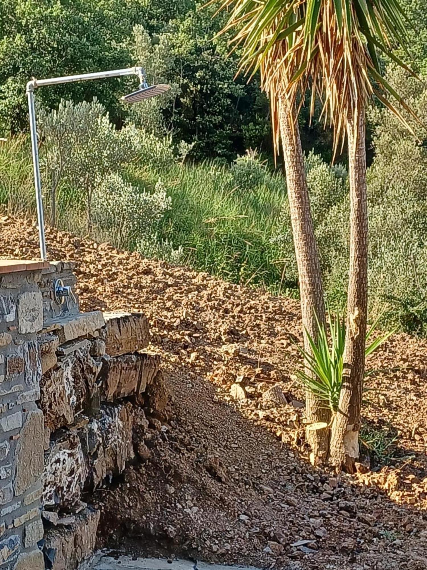 Agriturismo Le Terre Di Venere Acciaroli Szoba fotó